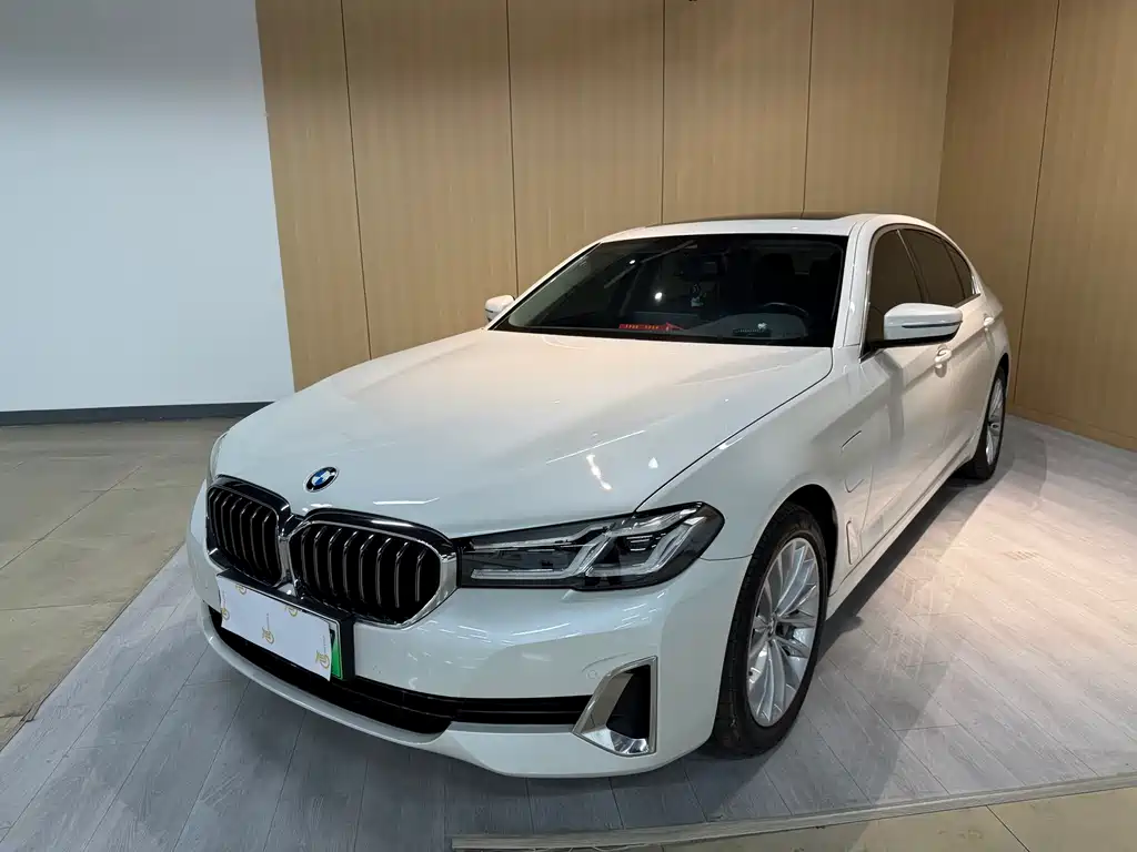 BMW 5 Series New Energy 2021