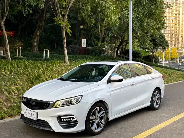 GEELY AUTOMOBILE BINRUI