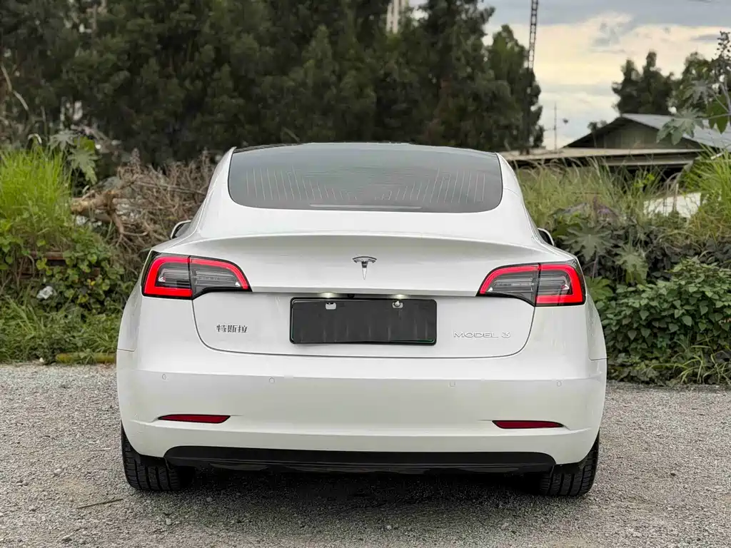 Tesla Model 3 — миниатюра 8