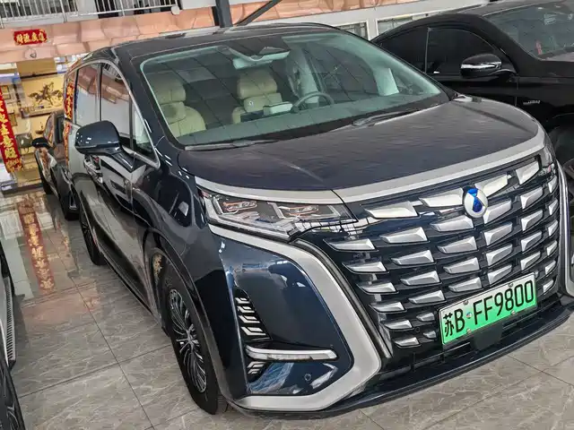 2023 Denza D9