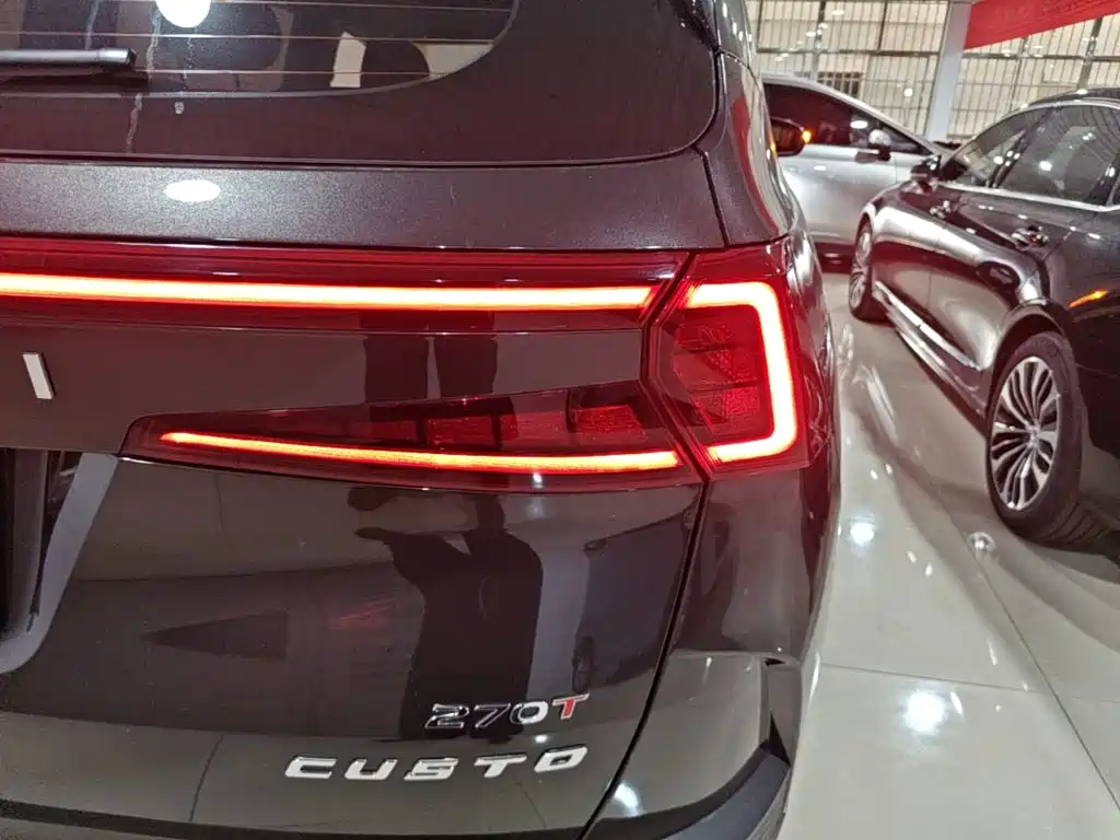 Hyundai Custo — миниатюра 8