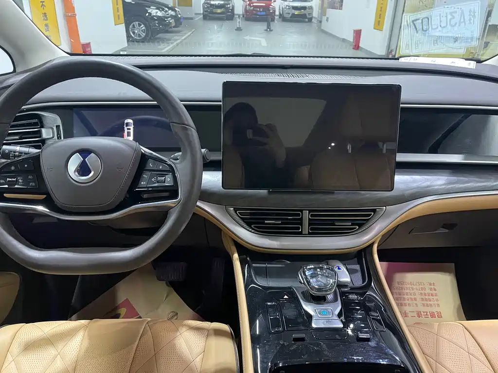 Denza D9 DM-i 1050 Premium Type, фото 6