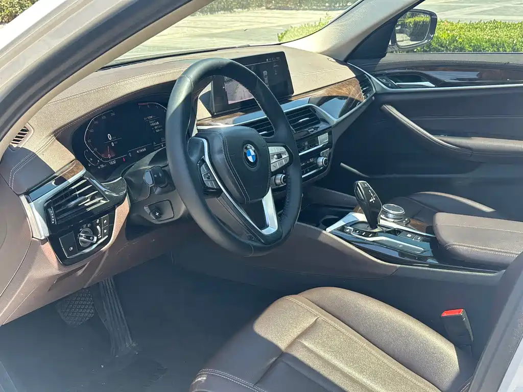 BMW 5 Series 5 2020 525Li Luxury