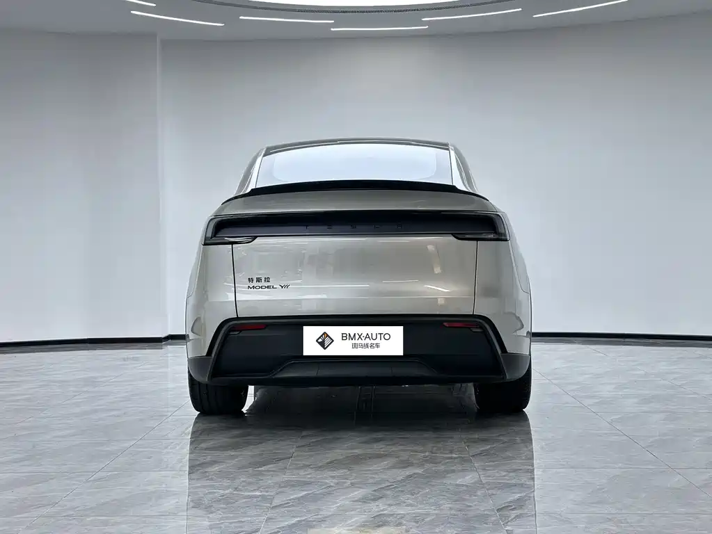 Tesla Model Y L