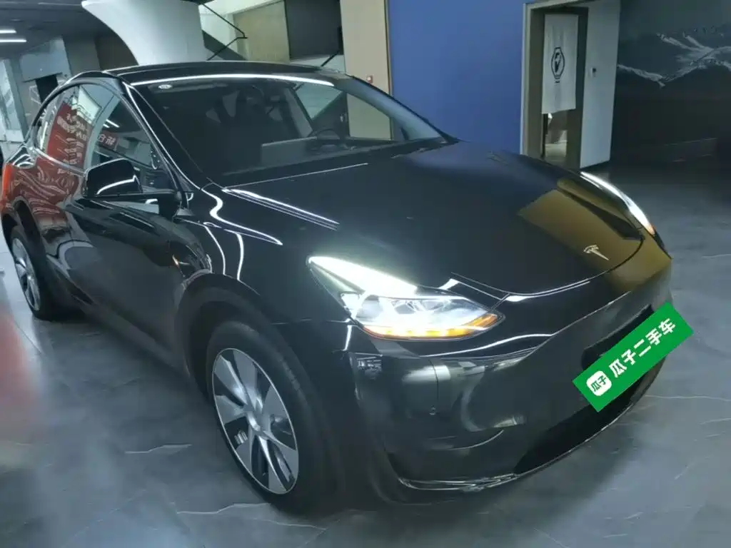 Tesla Model Y — миниатюра 4