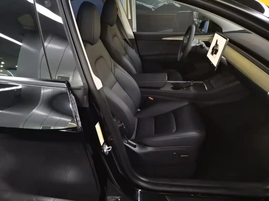 Tesla Model Y — миниатюра 25
