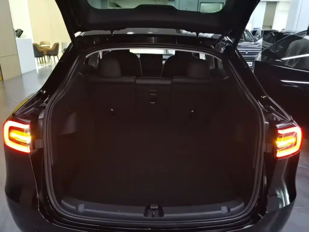 Tesla Model Y — миниатюра 19