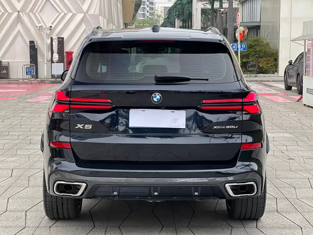 BMW X5 2025 xDrive 30Li Premium M Sport