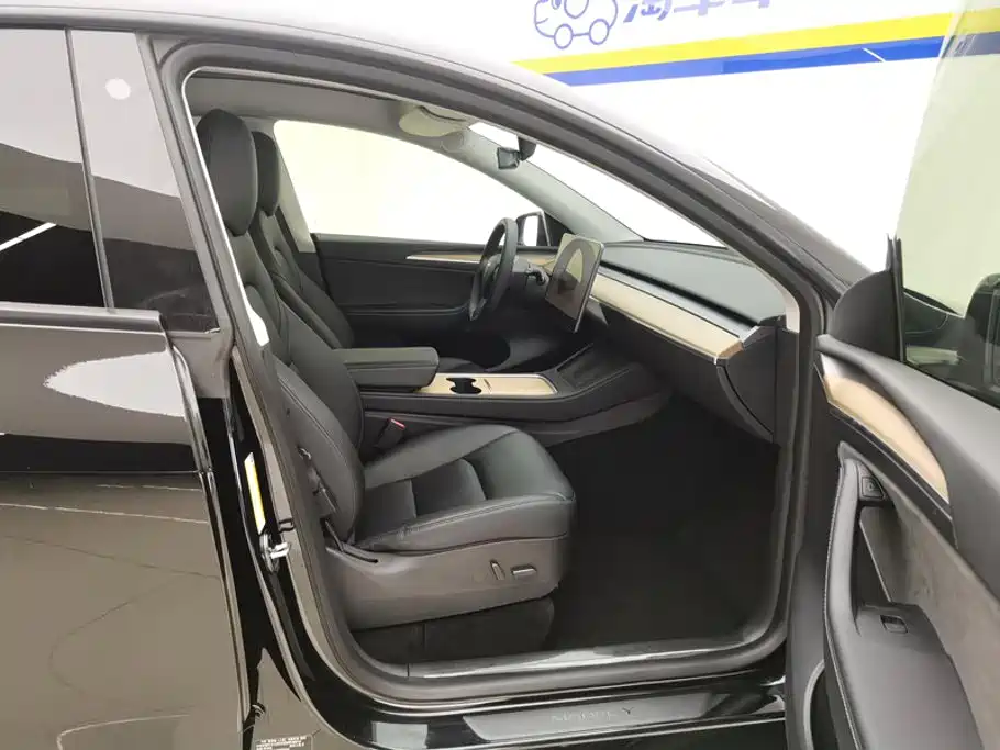 Tesla Model Y — миниатюра 8