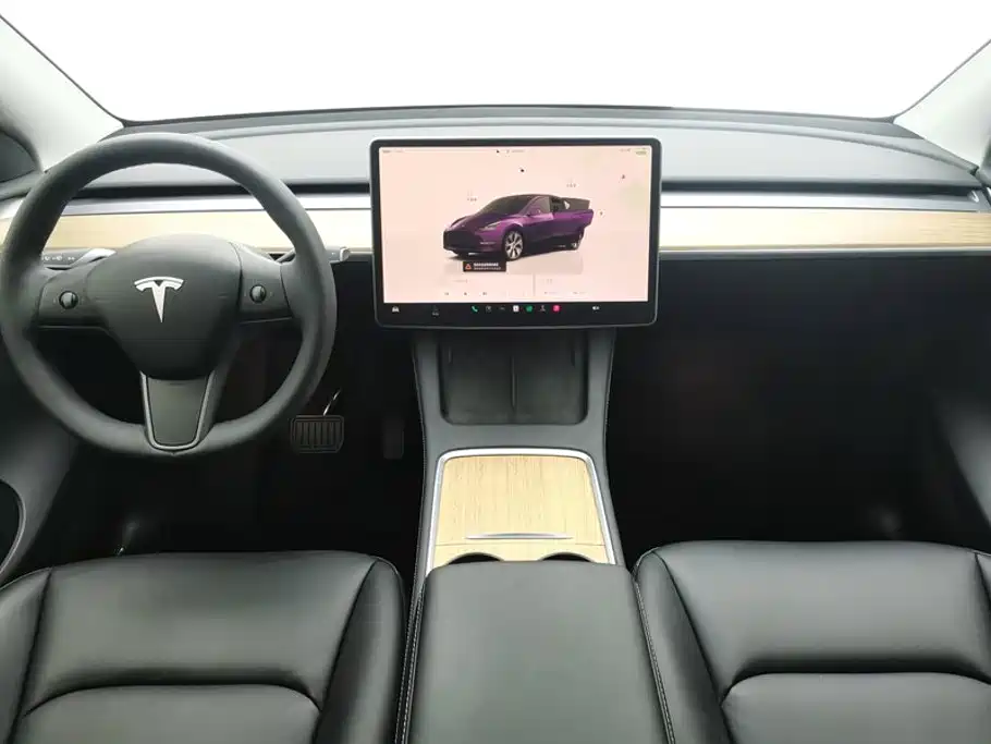Tesla Model Y — миниатюра 12