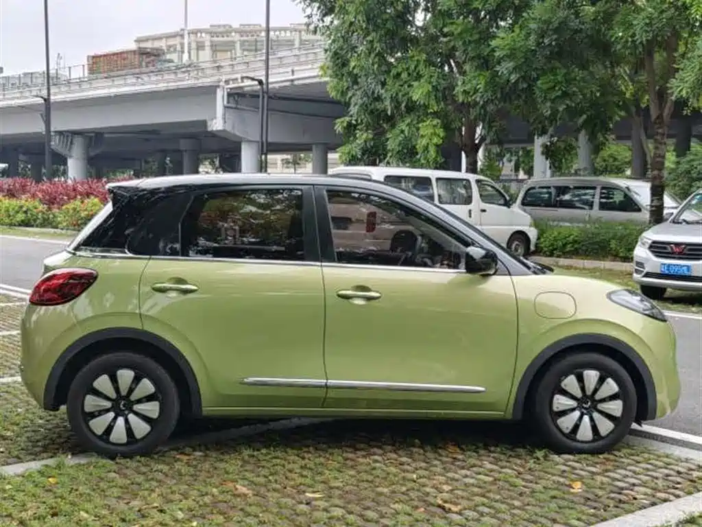 Wuling Binguo 2023 333km Enjoy +