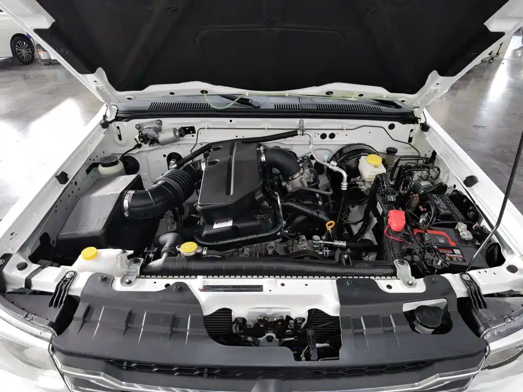 Dongfeng Rich — миниатюра 6