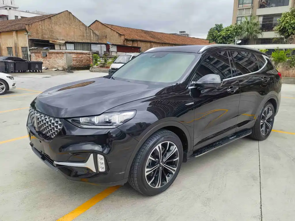 Wey Wey VV6