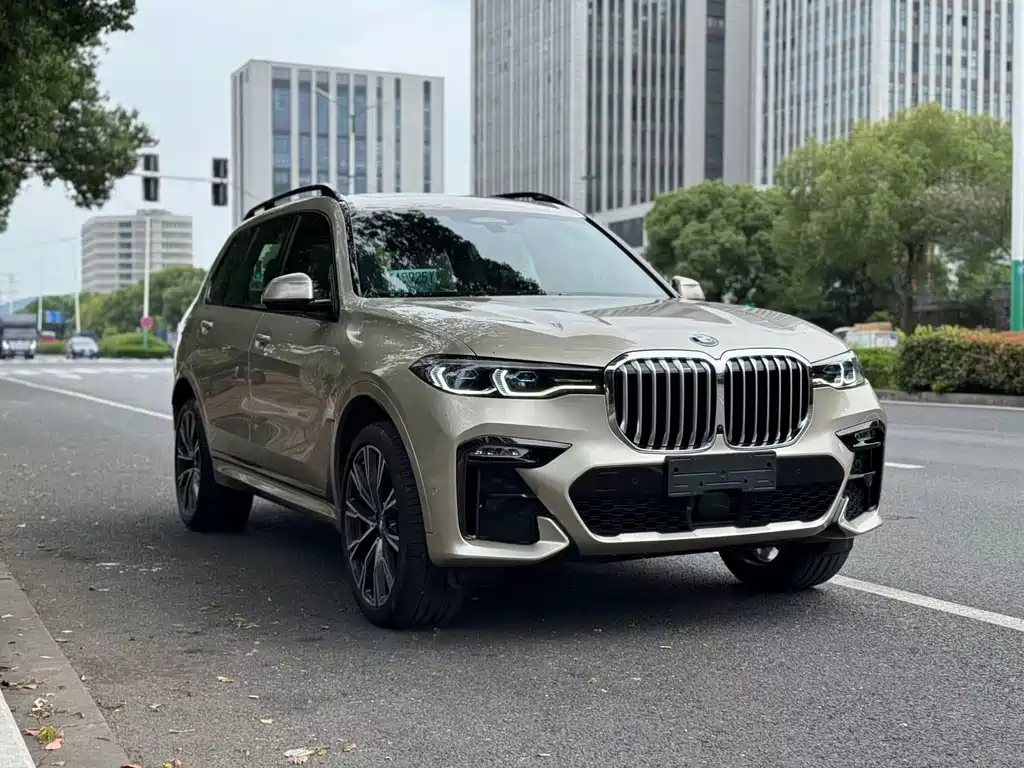 BMW X7 — миниатюра 3