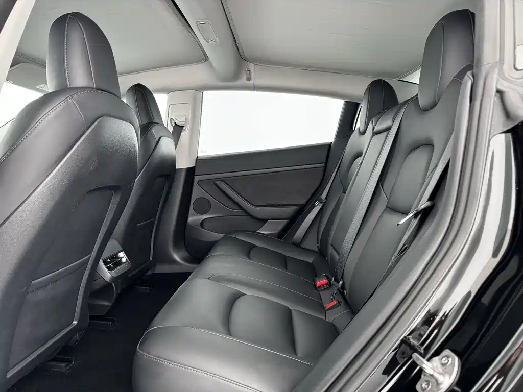 Tesla Model 3 — миниатюра 10