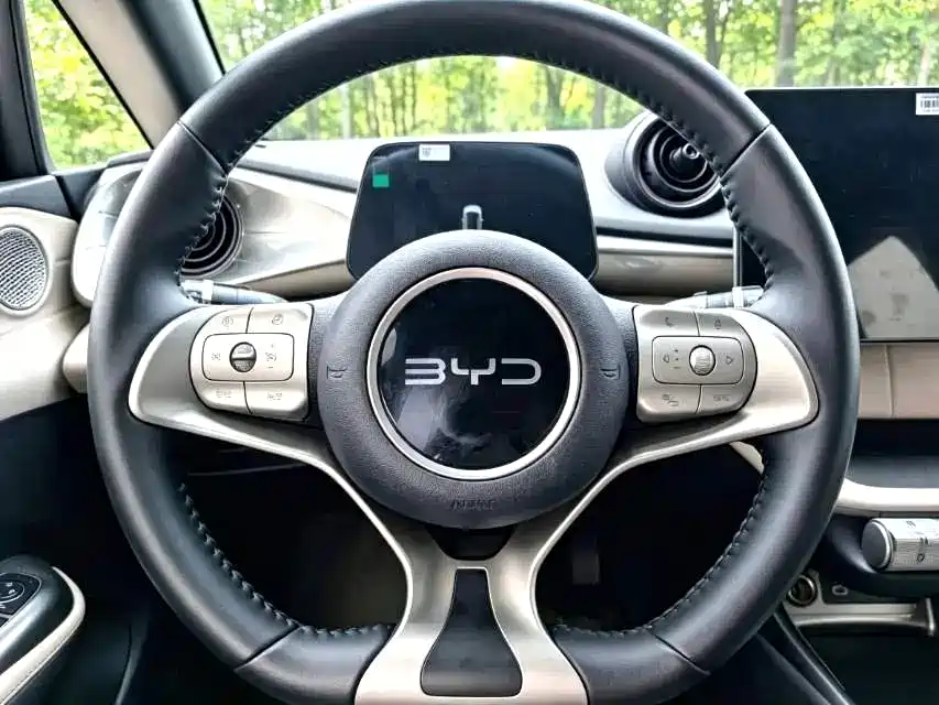 BYD Dolphin — миниатюра 9