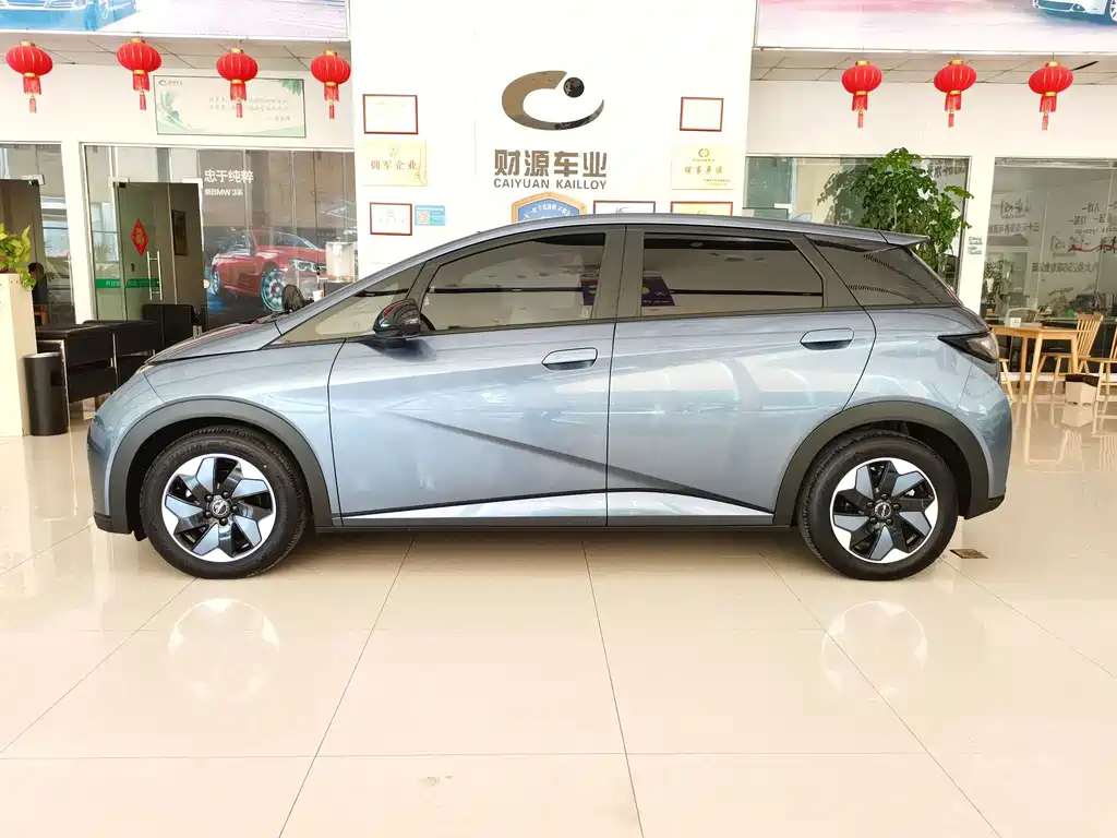 BYD Dolphin — миниатюра 3
