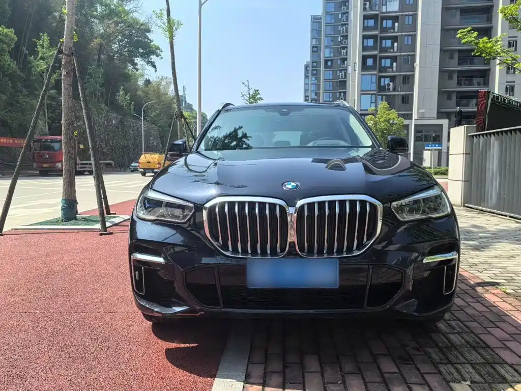 BMW X5 2022 xDrive 30Li Premium M Sport