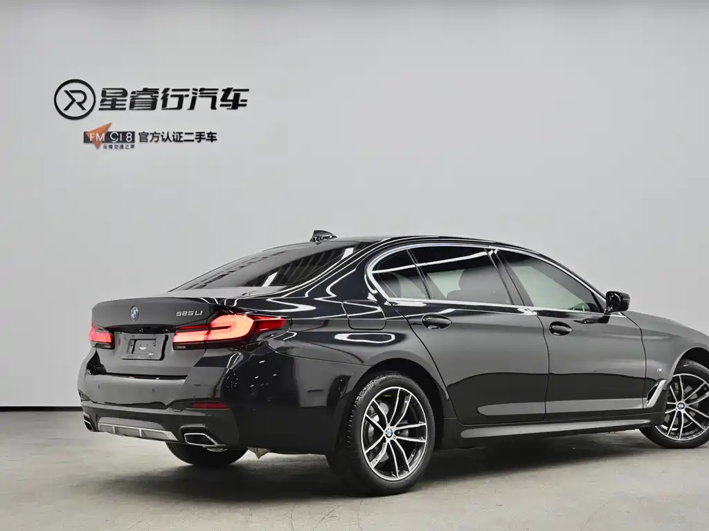 BMW 5 Series — миниатюра 3