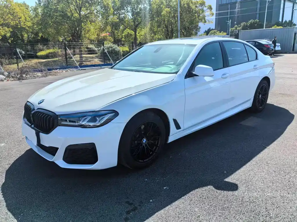 BMW 5 Series — миниатюра 3