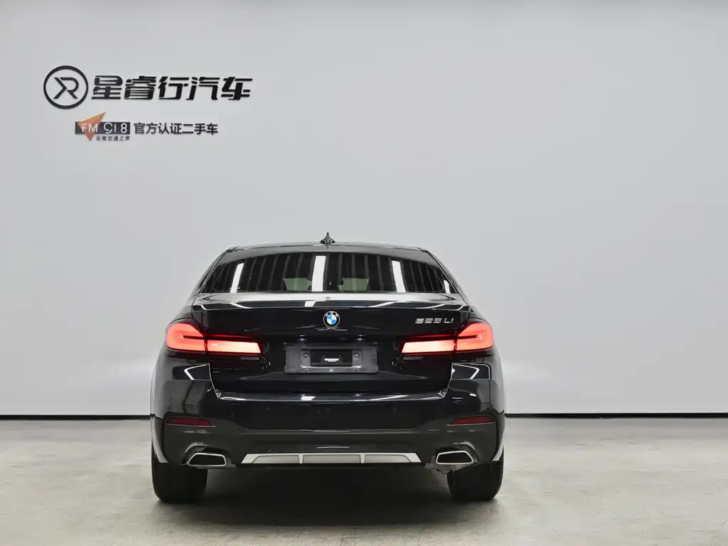 BMW 5 Series — миниатюра 5