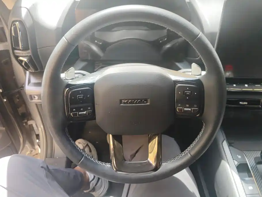 Haval Big Dog PLUS — миниатюра 15