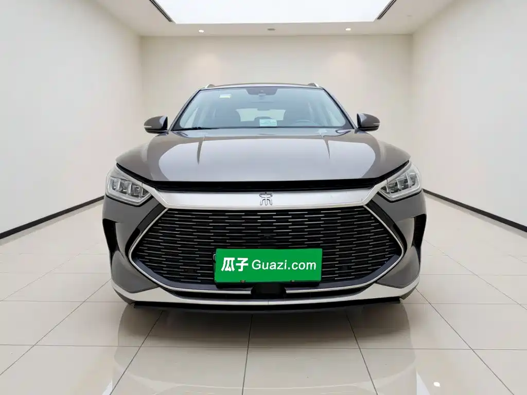 BYD PLUS New Energy — миниатюра 2