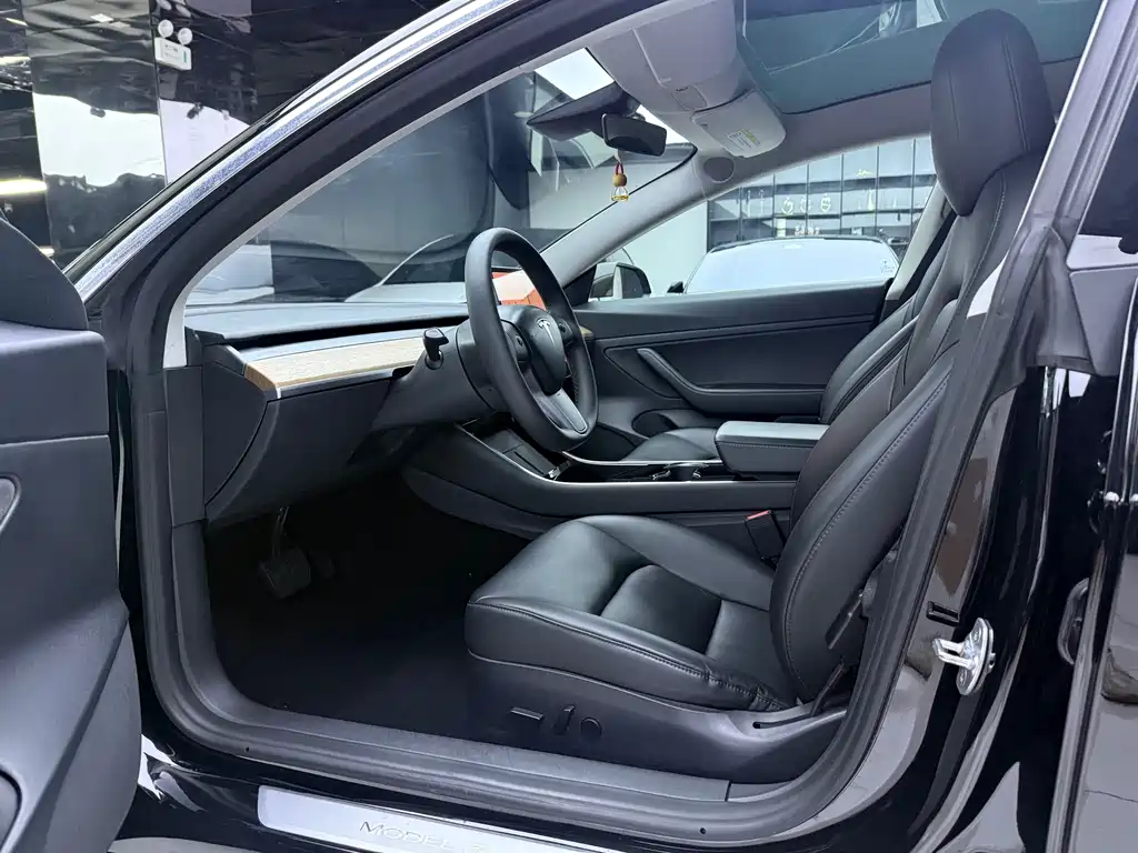 Tesla Model 3 — миниатюра 4