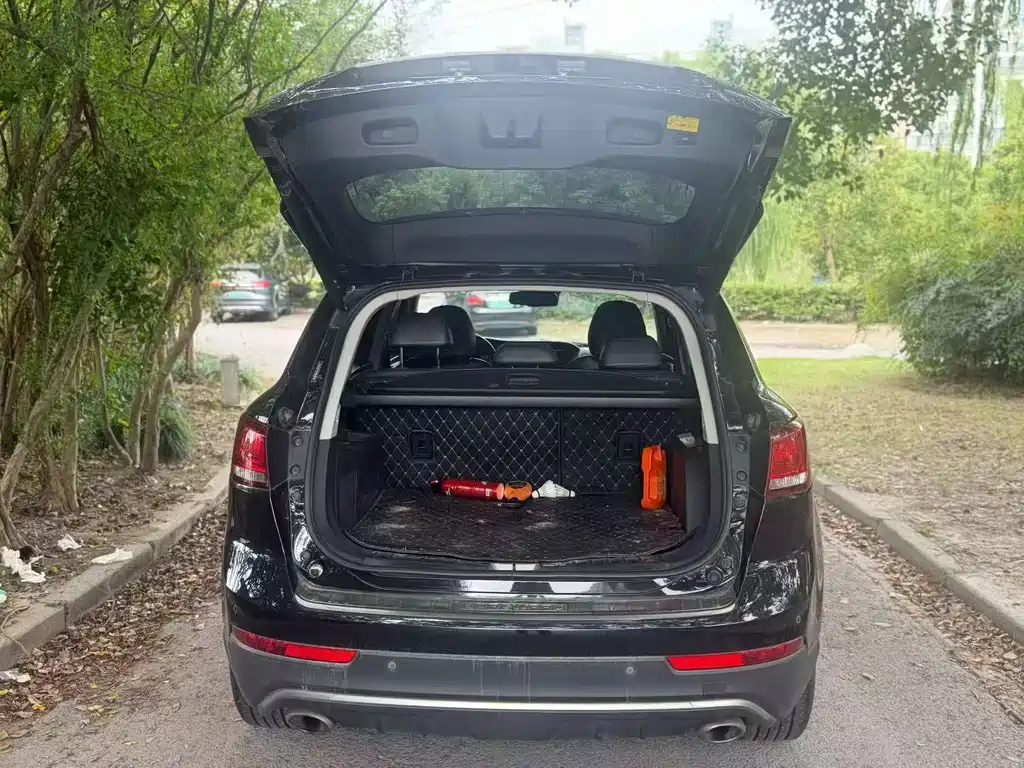 Borgward BX7 — миниатюра 7