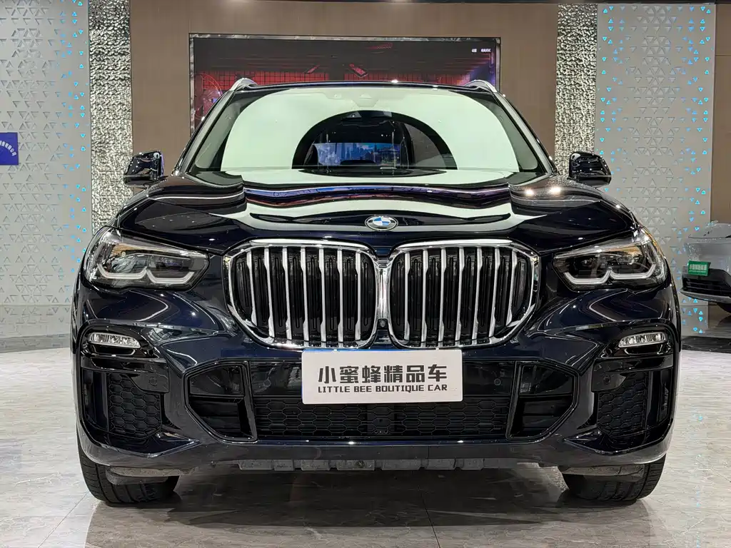 BMW X5 (Import) — миниатюра 2
