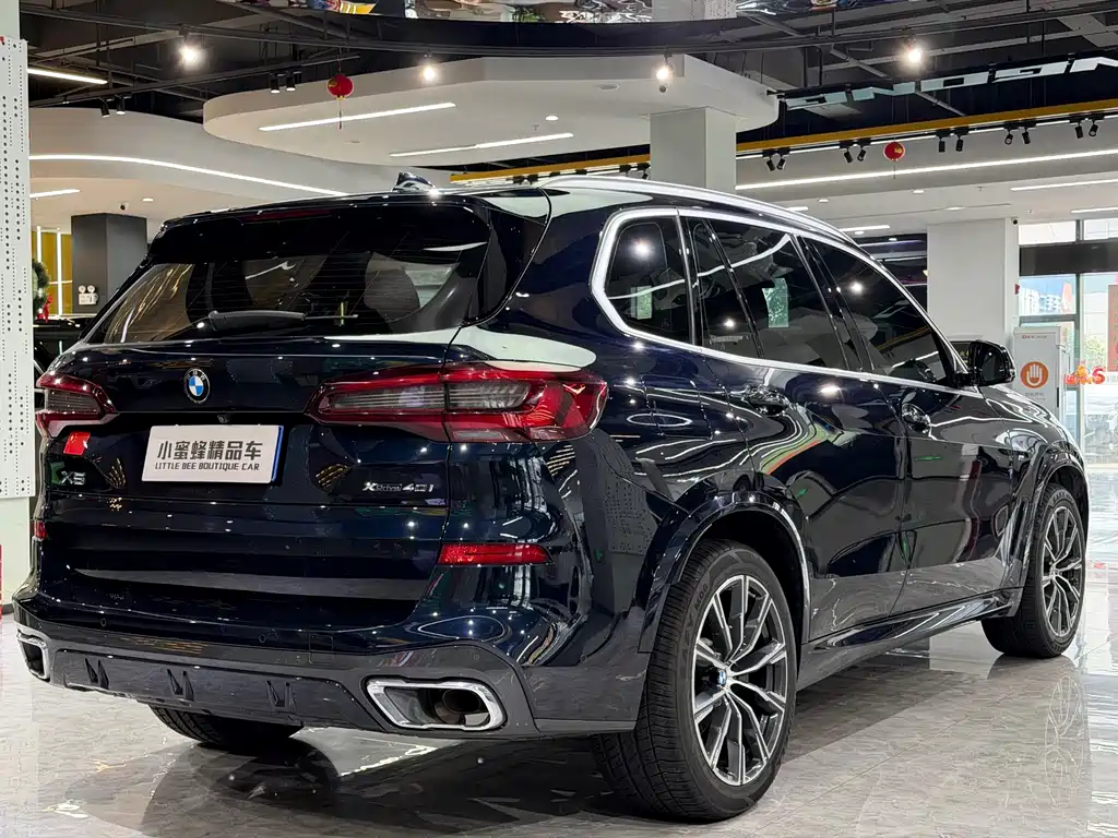 BMW X5 (Import) — миниатюра 16