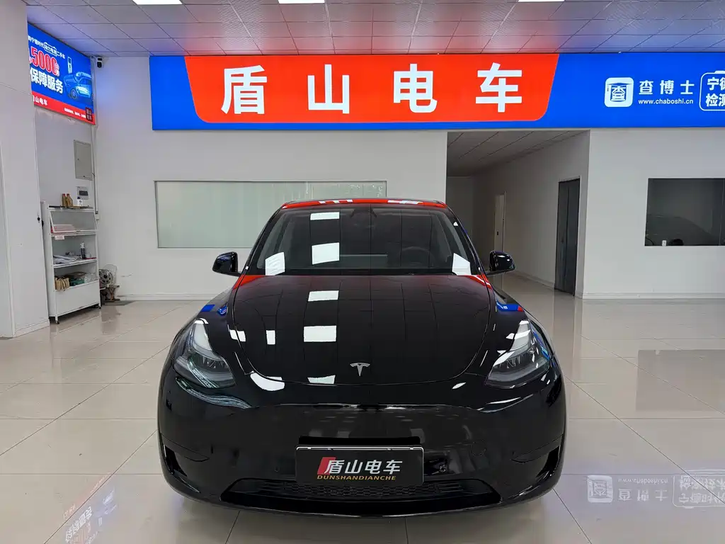 Tesla Model Y — миниатюра 2