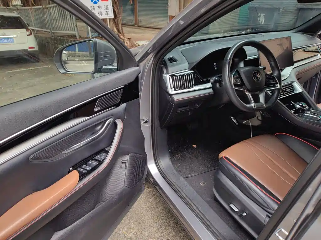 BYD PLUS — миниатюра 12