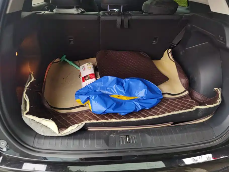 GAC Motor Trumpchi GS4 — миниатюра 4
