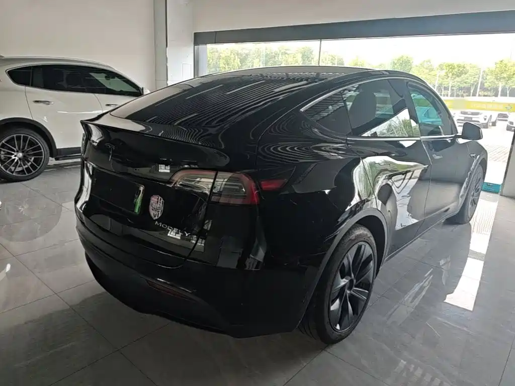 Tesla Model Y — миниатюра 7