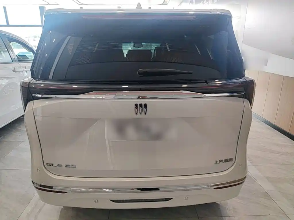 Buick GL8 — миниатюра 6