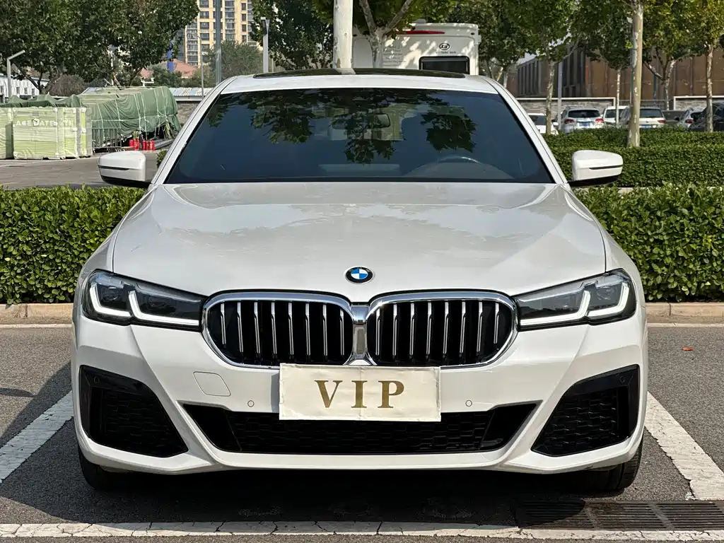 BMW 5 Series — миниатюра 2