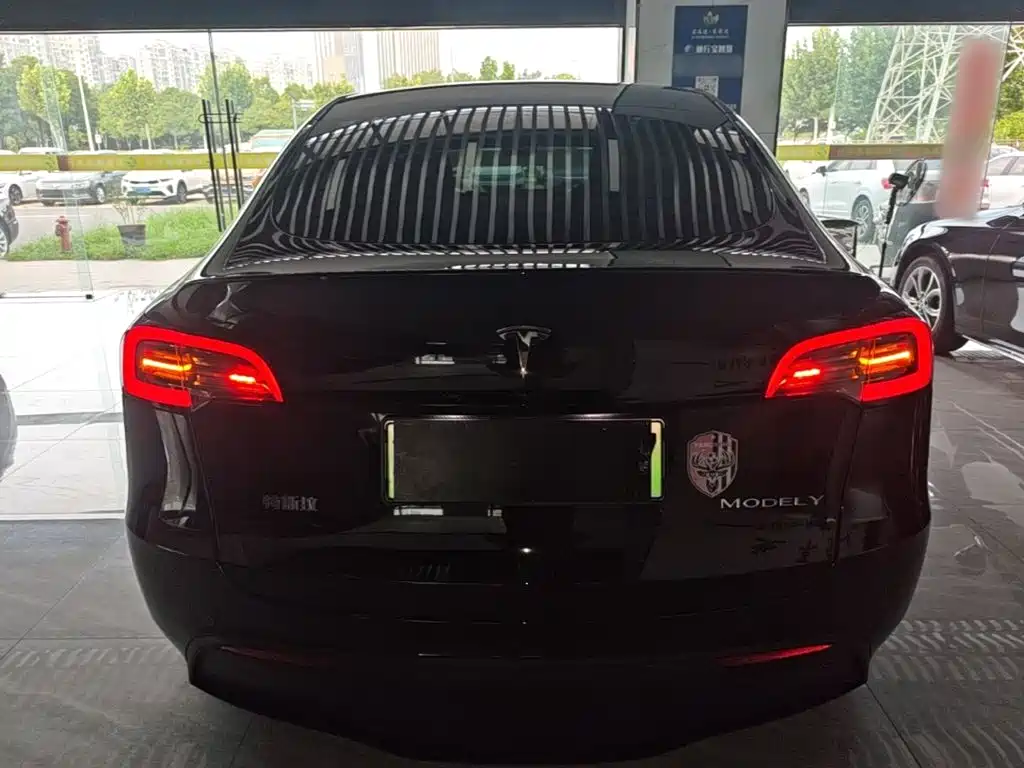 Tesla Model Y — миниатюра 6