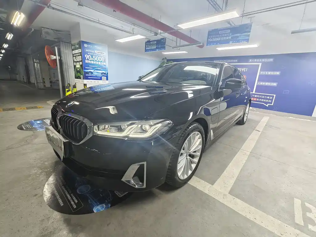 BMW 5 Series New Energy 2021