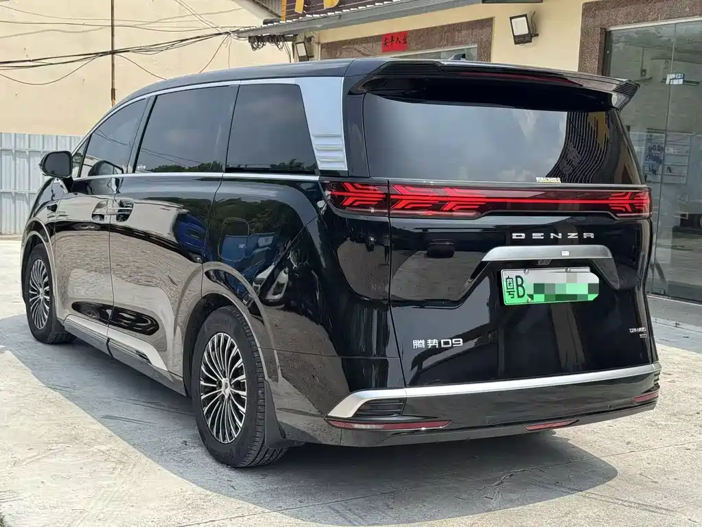 Denza Denza D9 — миниатюра 4