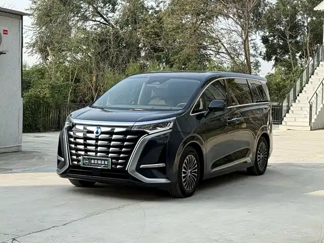 Denza D9
