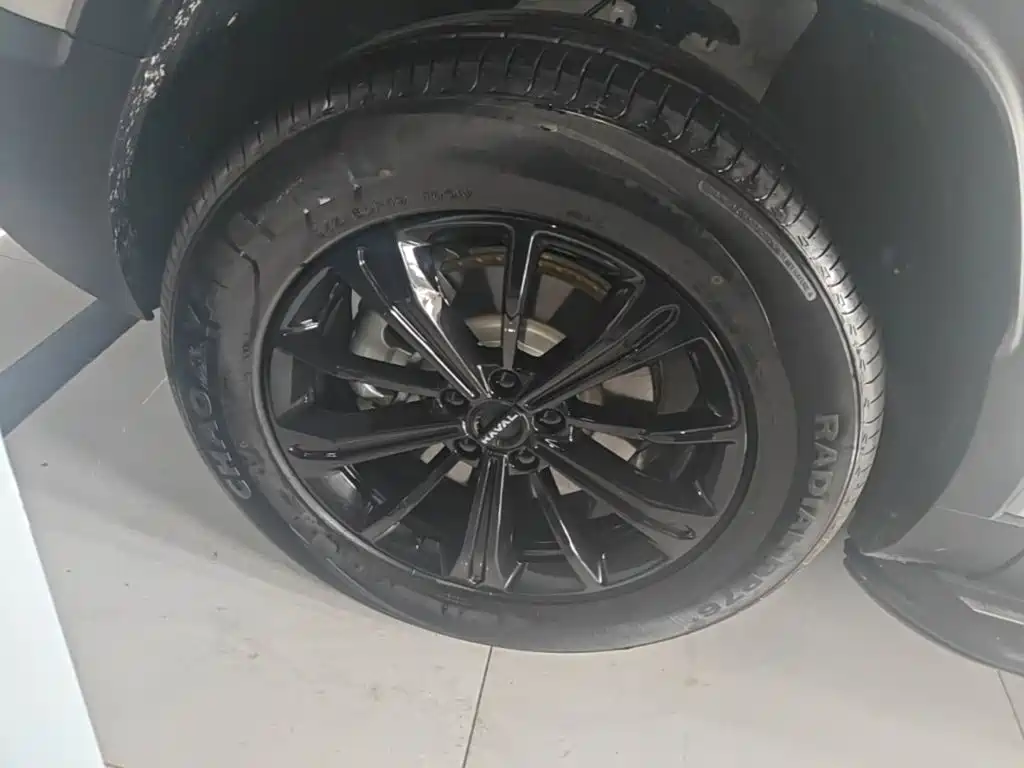 Haval Menglong New Energy — миниатюра 23