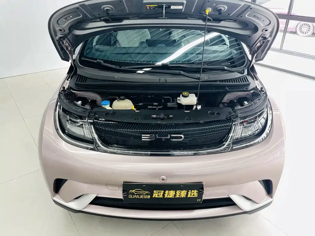 BYD Dolphin — миниатюра 2