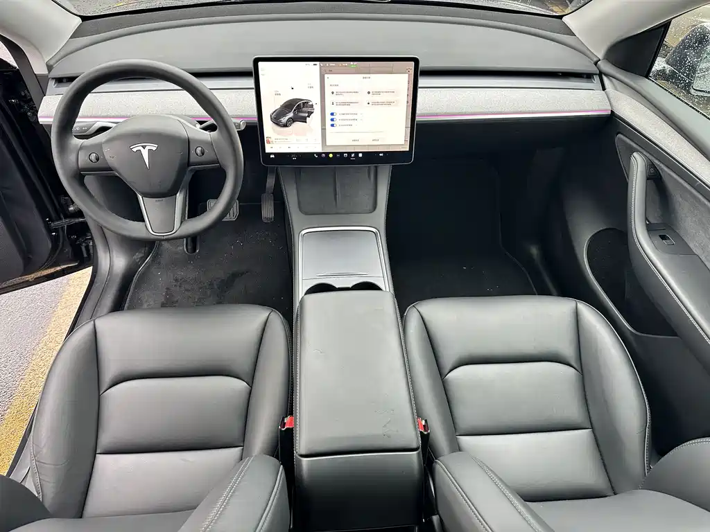 Tesla Model Y — миниатюра 6