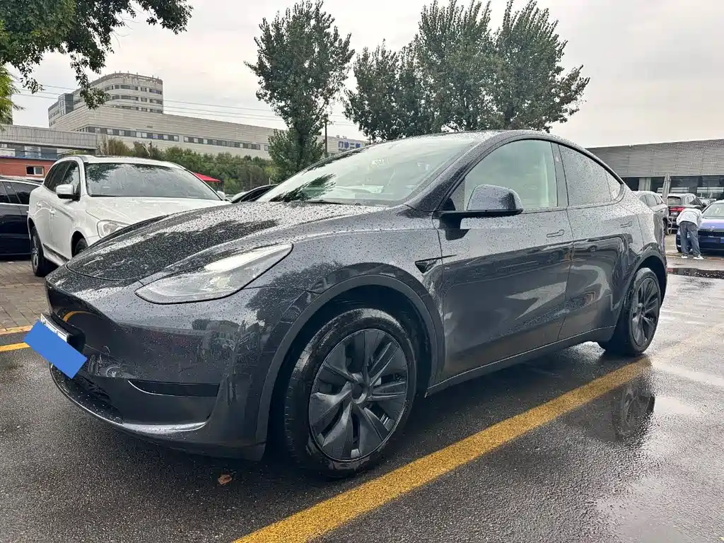 Tesla Model Y — миниатюра 2