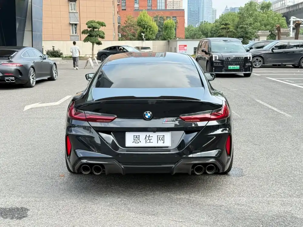 BMW M8 — миниатюра 14