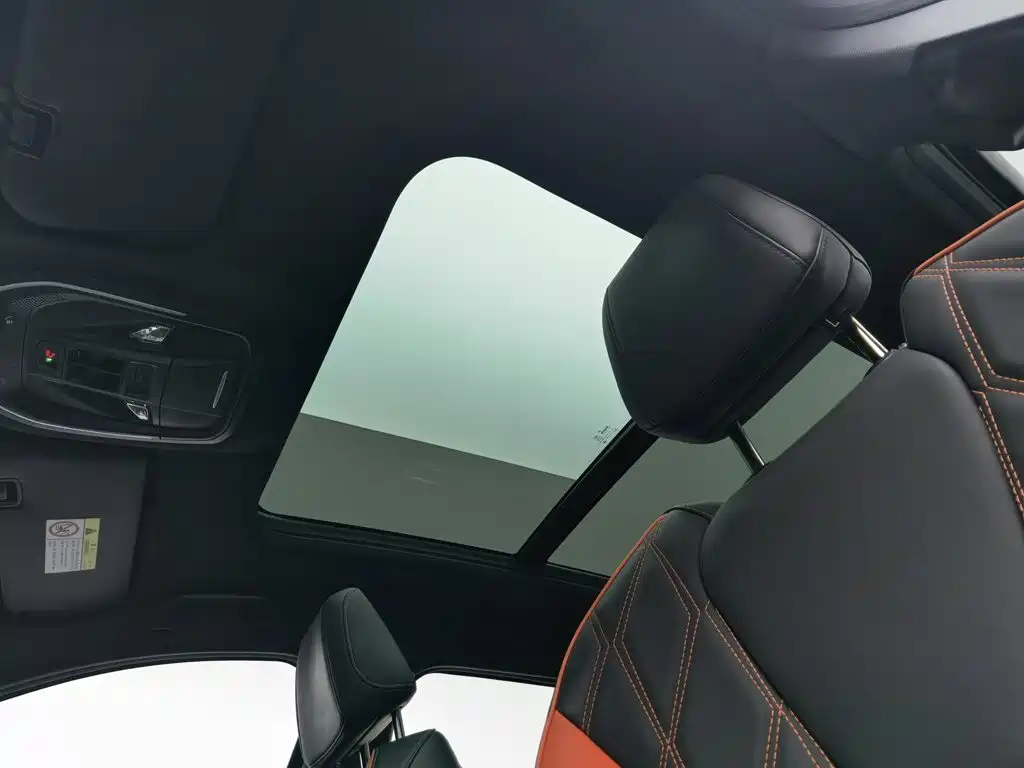 Haval Shenshou — миниатюра 14