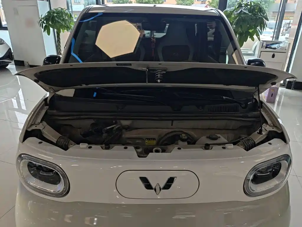 Wuling MINIEV — миниатюра 20
