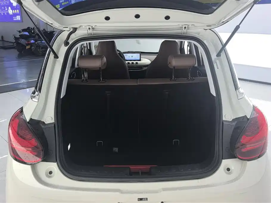 Wuling Binguo 2024 333km Enjoy