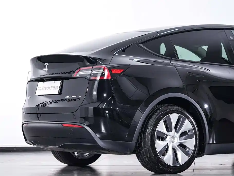 Tesla Model Y — миниатюра 9